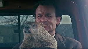 Related quizzes can be found here: 93 Of People Can T Remember What Happens In These Scenes From Groundhog Day Can You Zoo