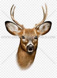 Buck Png Buck Deer Face Transparent Png 825x1092 2203172 Pngfind Large collections of hd transparent deer png images for free download. buck png buck deer face transparent