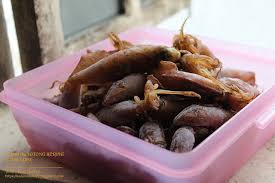 ⇲ resepi nasi lemak dan sambal. Cara Masak Sambal Sotong Kering Cumi Cumi