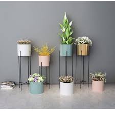 Tanaman bunga merupakan salah satu makhluk hidup. Pasu Hiasan Bunga Cylinder Gold Vase With Stand Black Modern Flower Pot Nordic Style Shopee Malaysia