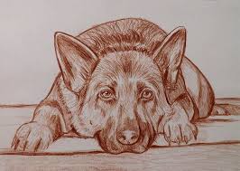 Ritratto Disegno Cani Su Commissione Matita Sanguigna Su Cartoncino By Velours Noir Creations 12 00 Euro S Disegni Arte Di Cani Ritratti Animali Domestici