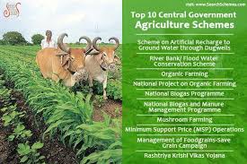 Thank Farmers For Providing You Food Grains Vegetables Fruits By Sharing These Government Schemes It Will Help Them Organic Farming Groundwater River Bank