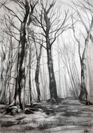 Pencil 50x70 I Can Just Say I M Very Proud Of This One It Was Couple Of Days Of Work Because Of R Landscape Drawings Pencil Drawings Of Nature Forest Drawing