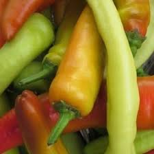 Really attractive long, tapering red and yellow waxy fruits. Chilli Pepper Hungarian Hot Wax Harrod Horticultural