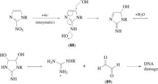 This medicine kills or stops the growth of bacteria. 2 Nitroimidazole An Overview Sciencedirect Topics