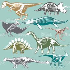 Dinosaurs Skeletons Silhouettes Set Fossil Bone Tyrannosaurus Animal Skeletons Dinosaur Skeleton Fossil Bones