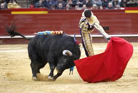 Image result for corrida de toros