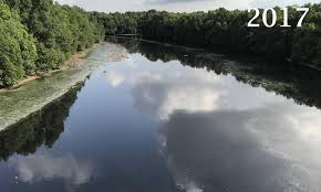 Menteri alam sekitar dan air, datuk seri tuan ibrahim tuan man berkata, pencemaran tidak melibatkan. Troubled Waters Why Pasir Gudang Rivers Are Dying Malaysiakini