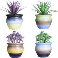 I have 7 succulents/small cactus in a pot. 4 Pcs 4 5in Ceramic Owl Succulent Cactus Planter Pot Set With Drainage Hole New Ebay