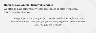 Maybe you would like to learn more about one of these? How To Write Effective Testimonials Plus 10 Customer Testimonial Examples