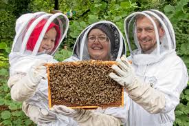 Bee Experience — The Bee Centre