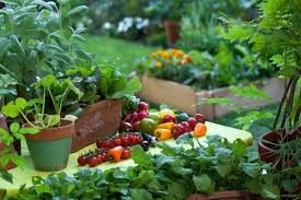 Realisez Un Potager Deco Avec Des Legumes Originaux Legumes De Saison Potager Potager Legumes