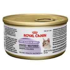 You can't make a cat eat what you want it to. Roger Biduk Pet Food Brands And Treats To Avoid