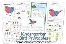Bird Themed Activities For Preschoolers Free Kindergarten Bird Themed Printable Pack Early Learning Learning Printables Bird Theme