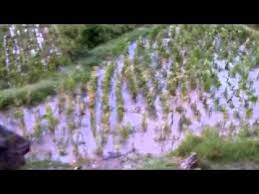 طريقة تهكير لعبة head ball 2 2020; ØªØ­Ù…ÙŠÙ„ Ù„Ø¹Ø¨Ø© Board Kings Ù…Ù‡ÙƒØ±Ù‡