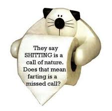 What Can I Say Im An Immature Dork I Laugh At Things An 11 Year Old Boy Would Perhaps Thats Why I Am Funny Joke Quote Facebook Humor Haha Funny