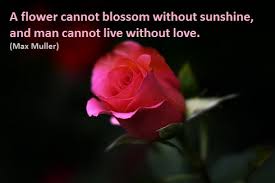 Caption digunakan sebagai alat berekspresi di sosial media. Pengertian Dan Contoh Caption Bahasa Inggris English Admin