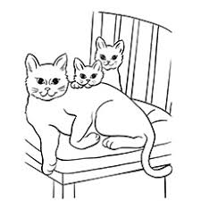 Dogs and cats are from different species of animals, appealing to different types of people. Top 30 Free Printable Cat Coloring Pages For Kids