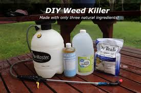 Using epsom salt will kill ants previously, epsom salt was mentioned as effective in controlling ants. How To Get Rid Of Weeds Naturally With Homemade Weed Killer Dengarden