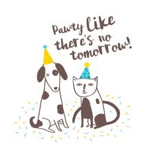 New Gif On Giphy Happy Birthday Cat Birthday Cards For Him Happy Birthday Fun Cats birthday is tomorrow free happy birthday ecards 123 greetings. new gif on giphy happy birthday cat