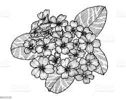 Epingle Sur Tattoo