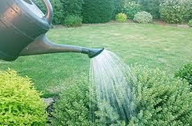 Kennt Ihr Gartenwasserzahler Nein Stadtwerke Lemgo Facebook