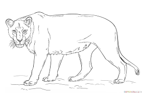 How To Draw A Lioness Step By Step Drawing Tutorials Lion Coloring Pages Animal Coloring Pages Drawing Tutorial