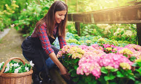 Prepare for the job by engaging in. 5 Steps To Take Before Starting Your Own Gardening Business