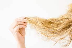 Broken Damaged Hair It Could Be From Protein Overload Annie Rosette