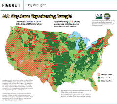 What does alfalfa look like in 2020. Forage Market Insights A First Look At 2020 Harvest Estimates Progressive Forage