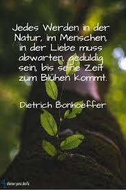 Jedes Werden In Der Natur Im Menschen In Der Liebe Zitate Natur Inspirierende Zitate Und Spruche Positive Botschaften