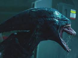 Welcome to the official alien twitter page. Ridley Scott Confirms New Alien Movie Is In The Works Archyworldys