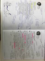 Gcse Love And Relationships Poems English Literature Poems Gcse Poems Relationship Poems