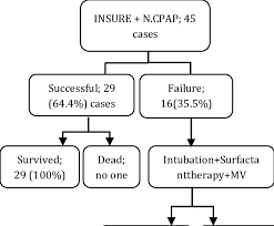 Flow Chart Of The Study Download Scientific Diagram