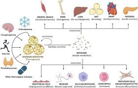 Image result for Beige 1983 Caloric