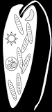 Image result