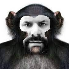 Paula Rooke's Instagram, Twitter & Facebook