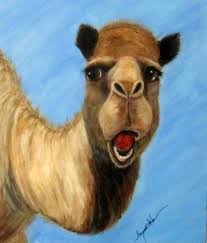 You have to give the minds behind geico's ad campaigns credit, they certainly have a knack for creating commercials that stick with the viewer. Pin On Caleb The Geico Camel