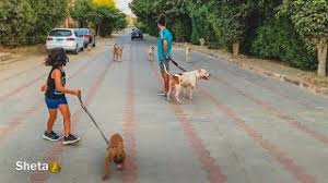 Twitter.com/hassansheta2 hassan s.'nın bütün fotoğraflarını, tavsiyelerini, listelerini ve arkadaşlarını gör. Ø®Ø±Ø¬Ù†Ø§ Ø§Ù†Ø³ ÙˆØ¨ÙˆÙŠÙƒØ§ Ø§Ù„ØµØºÙŠØ± Ù…Ø¹ Ø¨ÙˆÙŠÙƒØ§ Ø§Ù„ÙƒØ¨ÙŠØ± Youtube