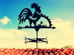 flyugery na kryshu doma eskizy flyugera dekorativnye kartiny komnatnoe sadovodstvo