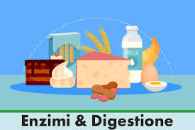 Sotto forma o come parte di enzimi, le proteine regolano le varie reazioni dell'organismo, favorendole o evitandole. Intolleranze Alimentari Quali Cibi Le Provocano Forumsalute It