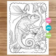 Cool coloring pages animals coloring pages cool coloring pages. Chameleon Coloring Page Animal Art Coloring Book Printable Etsy