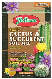 I don't know much about cactus. Amazon Com Hoffman 10404 Organic Cactus And Succulent Soil Mix 4 Quarts Brown A Soil And Soil Amendments Garden Outdoor