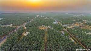 al ahsa oasis saudi arabia واحة الاحساء beautiful pictures trip natural landmarks