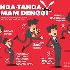 Virus denggi di dalam tubuh wanita hamil boleh disalurkan kepada bayi yang dia bawa. Demam Denggi