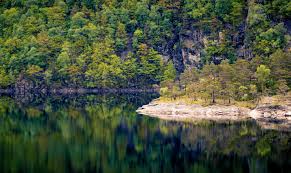 The forest pc game 2014 is a survival horror video game. Free Photo Scenic View Of The Forest Beautiful Reflection Water Free Download Jooinn