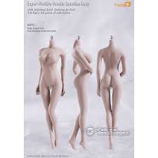 This article looks at female body parts and their functions, and it provides an interactive diagram. Phicen Female Seamless Body Large Breast Size With Woman Secret Part Pale Series Not Head S07c