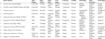 Image result for Lagenaria rufa