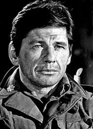 He bore a grudge against governor due to row over his wedding photos. Charles Bronson Wikipedia