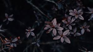 ❤ get the best dark wallpaper hd on wallpaperset. Dark Pc Wallpapers 4k Hd Dark Pc Backgrounds On Wallpaperbat